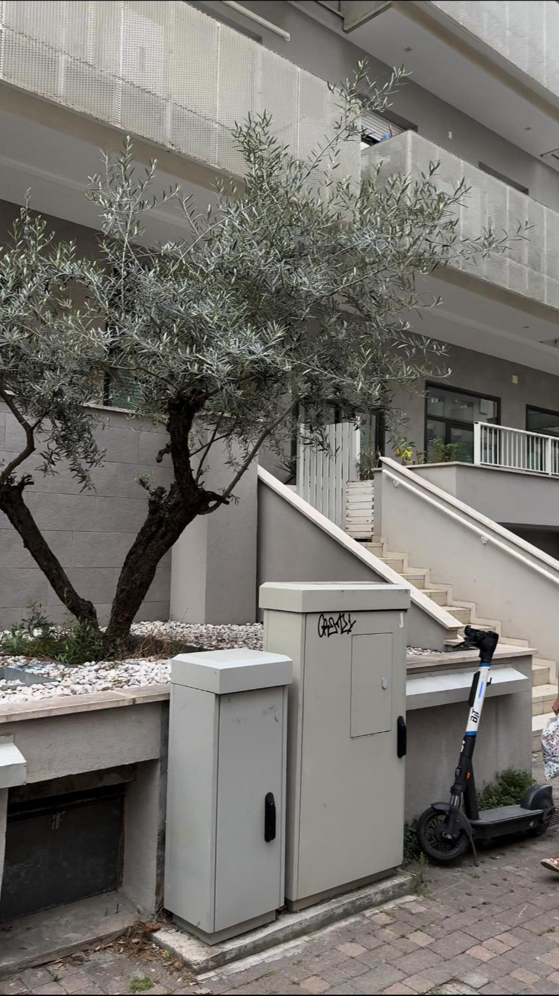 Rimini Marina Διαμέρισμα Εξωτερικό φωτογραφία